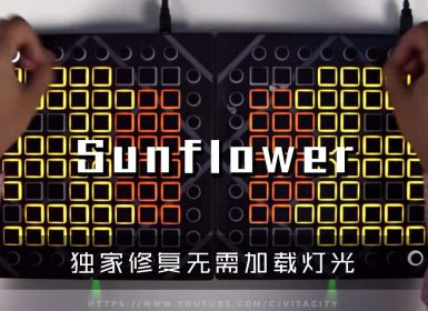 (LEVEL4)Sunflower Launchpad Cover [工程文件下载]